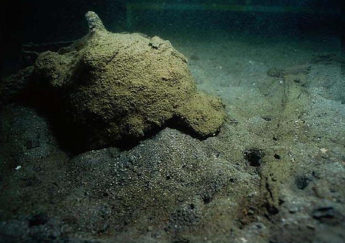 🏛️ 마쓰우라 시립 매장문화재 센터 (마쓰우라 시리츠 마이조분카자이 센타) 이미지 4